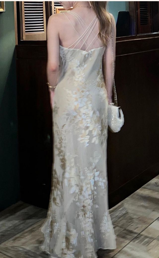 Monsoon Cream, Gold, Brown Evening Gown C09 — Back