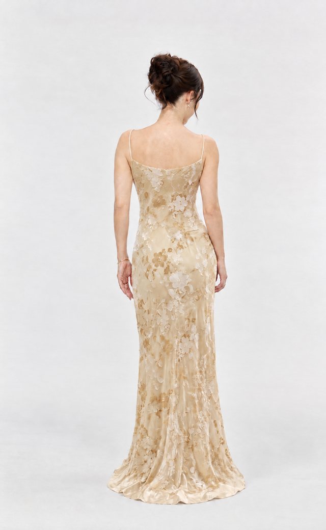 Monsoon Cream, Gold, Brown Evening Gown C19 — Back